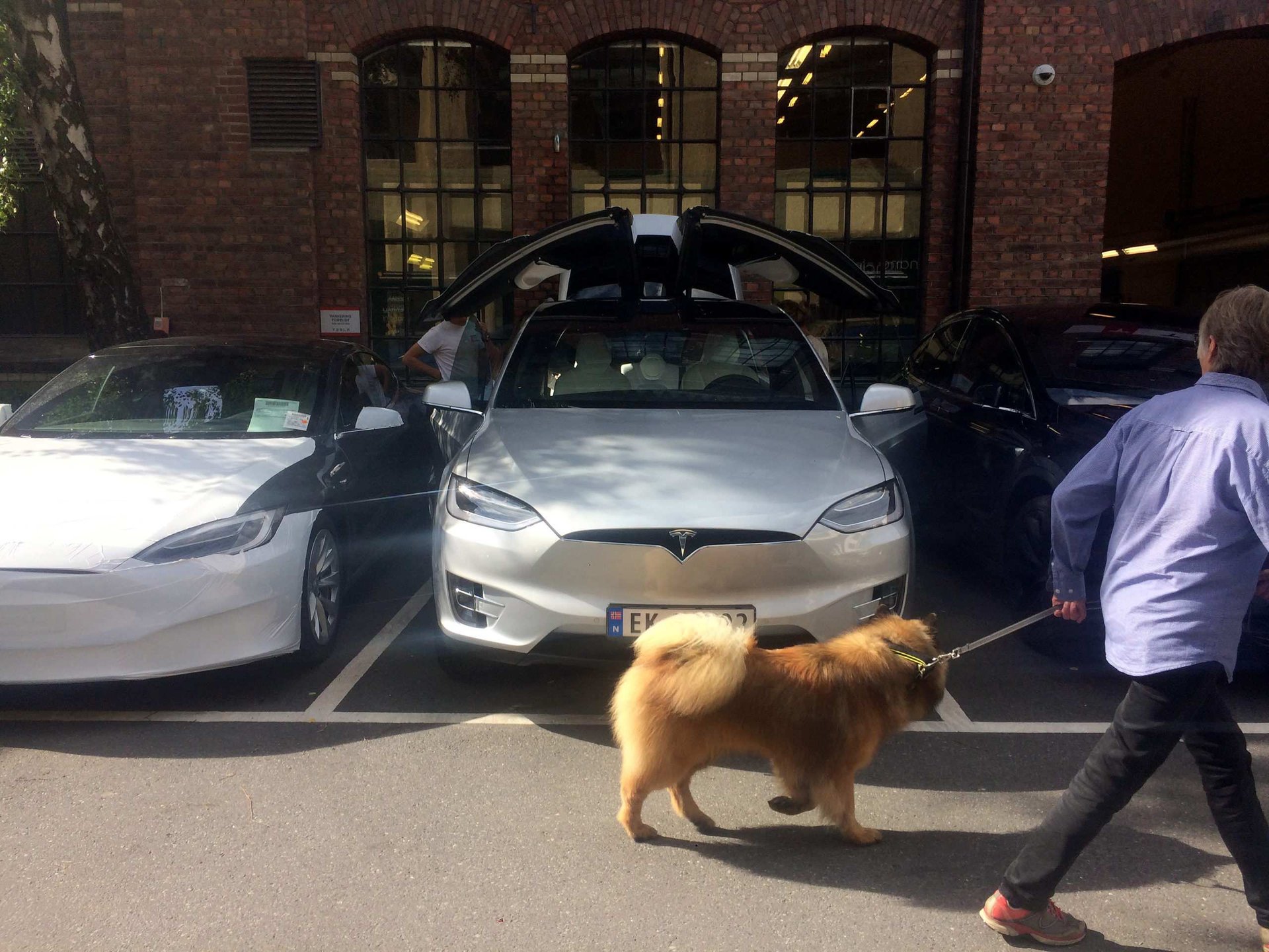 tesla auto