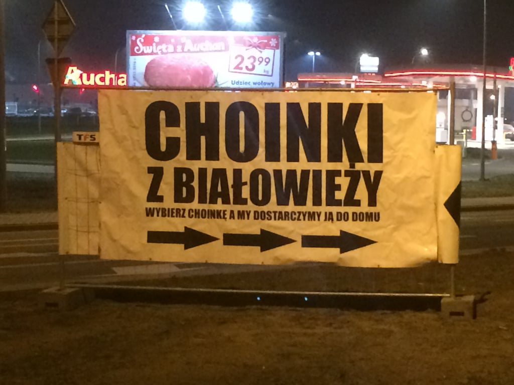 sprzedaz choinek