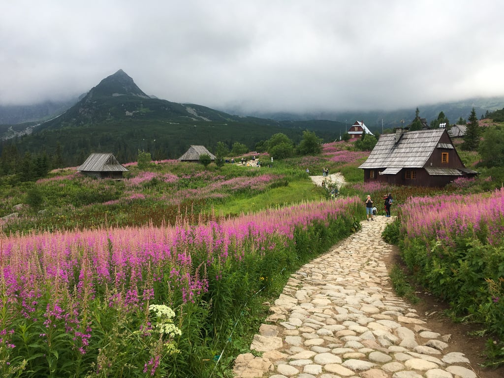 Tatry