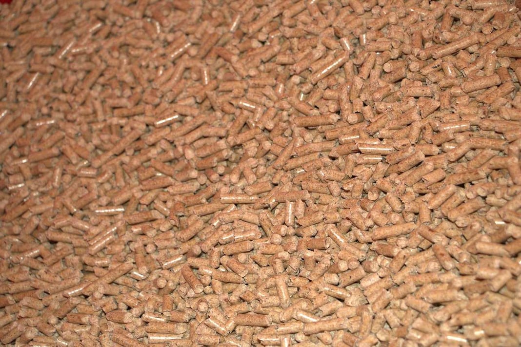 pellet