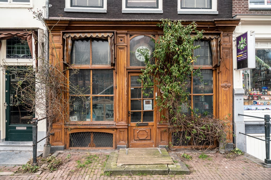 Drzewa amsterdam