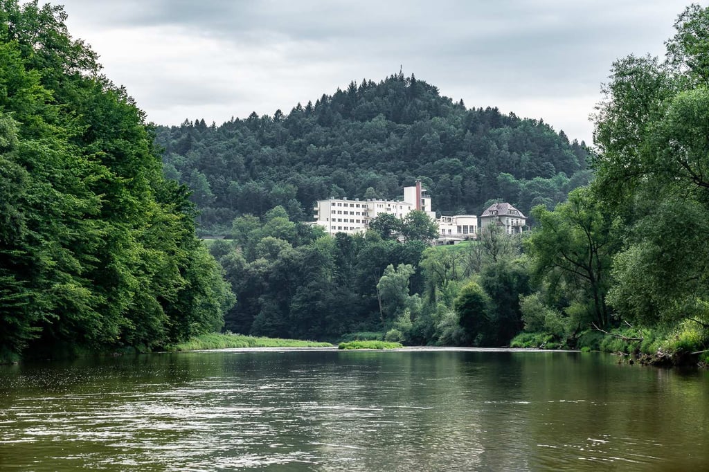 sanatorium Wiktor